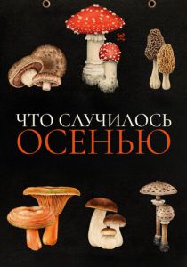 Что случилось осенью 2024 Фильм