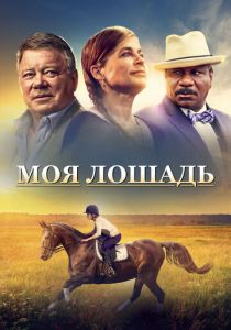 Моя лошадь 2016 Фильм
