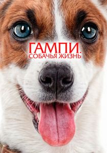 Гампи. Собачья жизнь 2024 Фильм