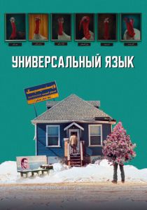 Универсальный язык 2024 Фильм