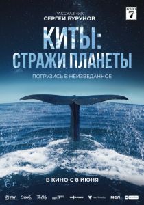 Киты: Стражи планеты 2023 Фильм