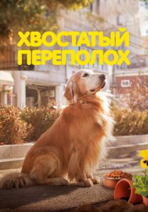 Хвостатый переполох 2024 Фильм