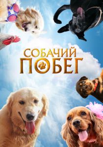 Собачий побег 2023 Фильм