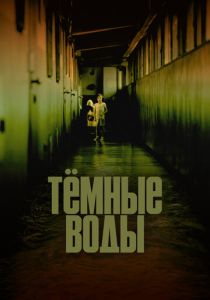 Тёмные воды 2001 Фильм