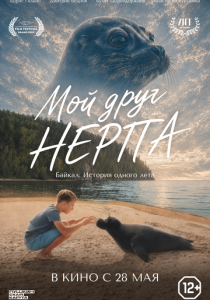 Мой друг нерпа 2025 Фильм