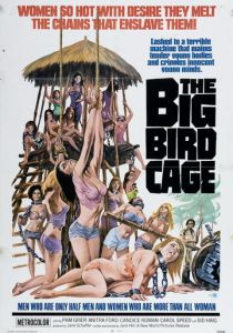Большая клетка для птиц 1972 Фильм